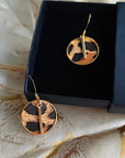 Aontaithe earrings